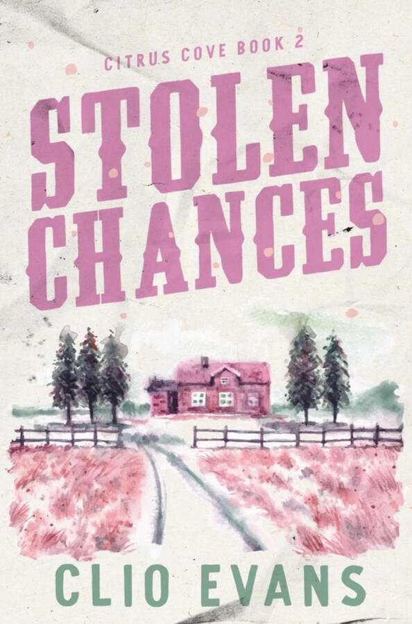 Stolen Chances Stolen Chances